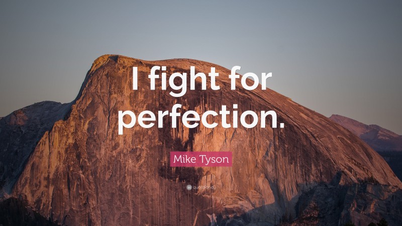 Mike Tyson Quote: “I fight for perfection.”