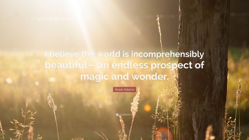 Ansel Adams Quote: “I believe the world is incomprehensibly beautiful – an endless prospect of magic and wonder.”