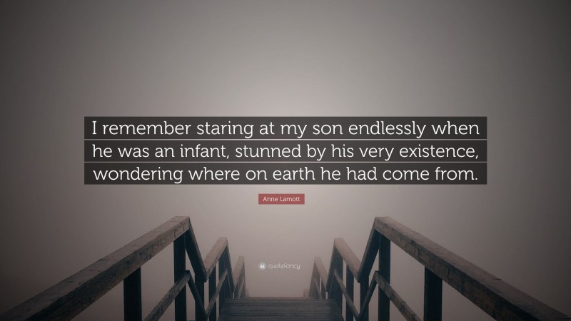 Anne Lamott Quote: “I remember staring at my son endlessly when he was an infant, stunned by his very existence, wondering where on earth he had come from.”