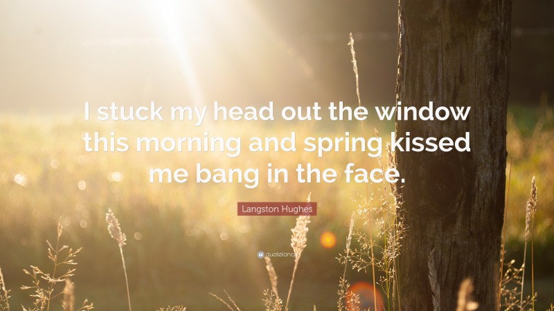Langston Hughes Quote: “I stuck my head out the window this morning and spring kissed me bang in the face.”