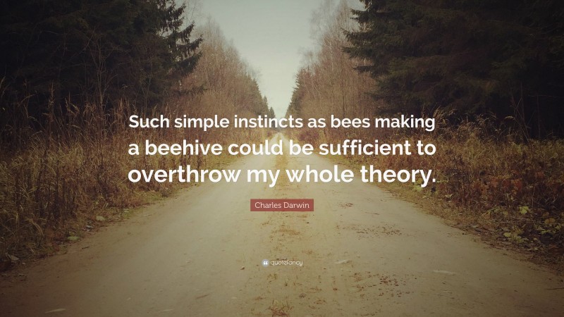 Charles Darwin Quote: “Such simple instincts as bees making a beehive could be sufficient to overthrow my whole theory.”