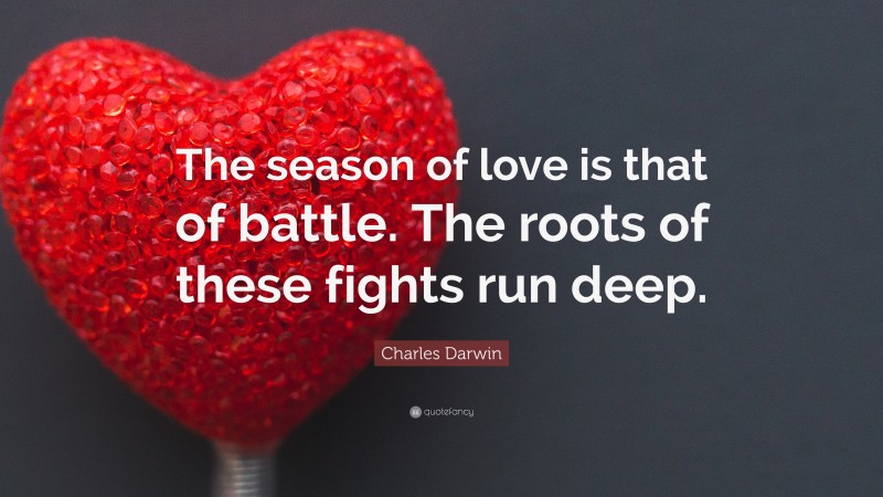 Charles Darwin Quote: “The season of love is that of battle. The roots of these fights run deep.”