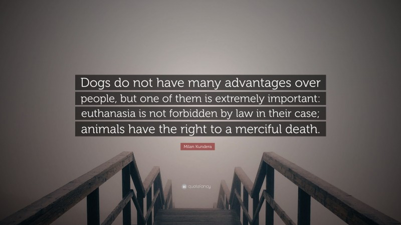 Milan Kundera Quote: “Dogs do not have many advantages over people, but one of them is extremely important: euthanasia is not forbidden by law in their case; animals have the right to a merciful death.”