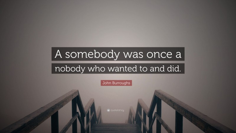 John Burroughs Quote: “A somebody was once a nobody who wanted to and did.”