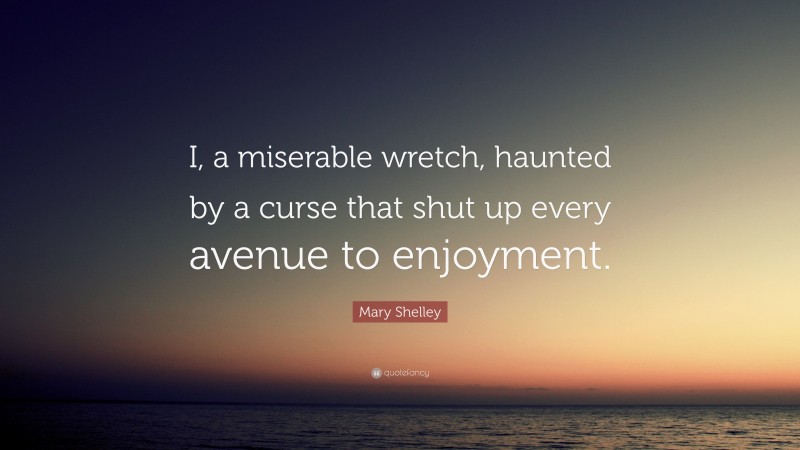 Mary Shelley Quote: “I, a miserable wretch, haunted by a curse that shut up every avenue to enjoyment.”