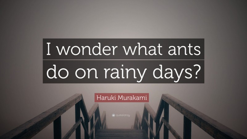 Haruki Murakami Quote: “I wonder what ants do on rainy days?”