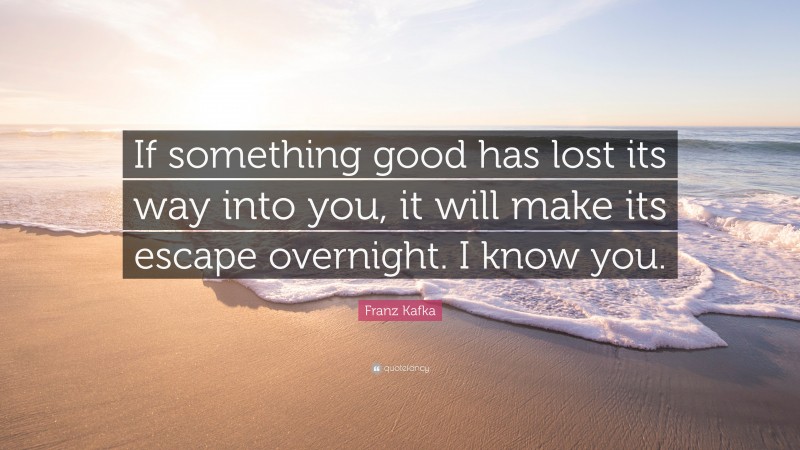 Franz Kafka Quote: “If something good has lost its way into you, it will make its escape overnight. I know you.”