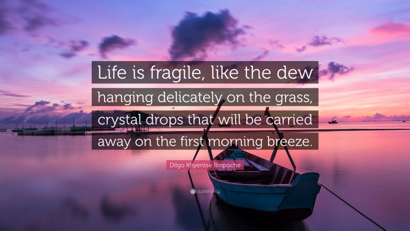 Dilgo Khyentse Rinpoche Quote: “Life is fragile, like the dew hanging delicately on the grass, crystal drops that will be carried away on the first morning breeze.”