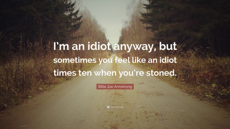 Billie Joe Armstrong Quote: “I’m an idiot anyway, but sometimes you feel like an idiot times ten when you’re stoned.”