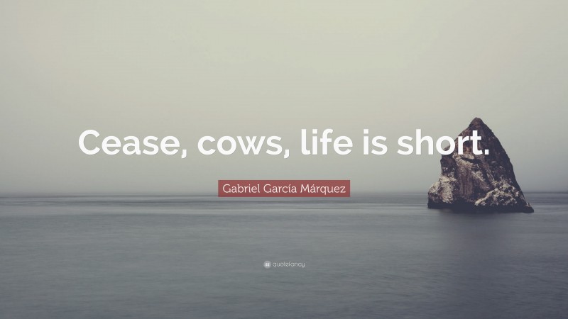 Gabriel Garcí­a Márquez Quote: “Cease, cows, life is short.”