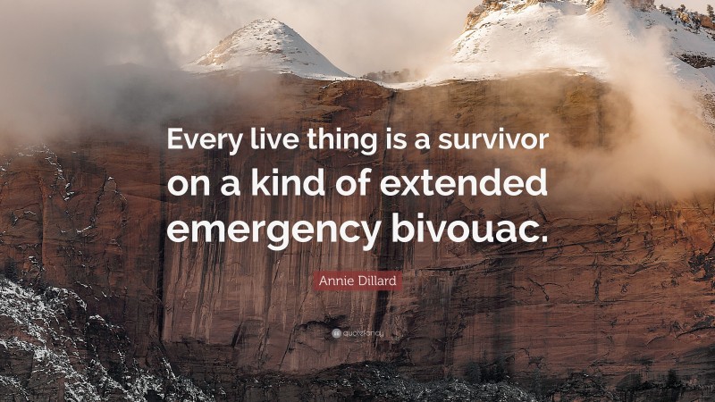 Annie Dillard Quote: “Every live thing is a survivor on a kind of extended emergency bivouac.”