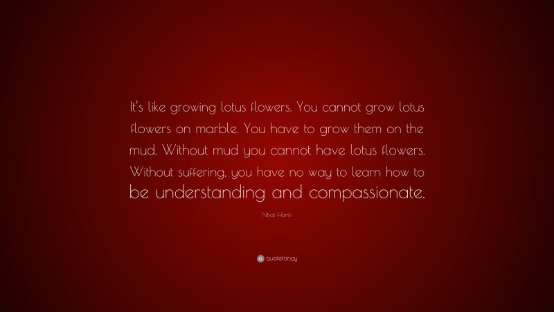 Nhat Hanh Quote: “It’s like growing lotus flowers. You cannot grow lotus flowers on marble. You have to grow them on the mud. Without mud you cannot have lotus flowers. Without suffering, you have no way to learn how to be understanding and compassionate.”
