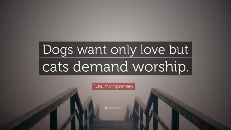 L.M. Montgomery Quote: “Dogs want only love but cats demand worship.”
