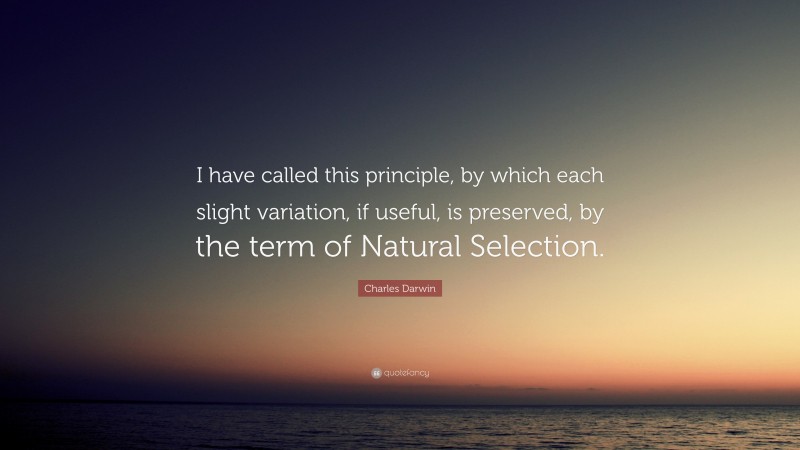Charles Darwin Quote: “I have called this principle, by which each slight variation, if useful, is preserved, by the term of Natural Selection.”