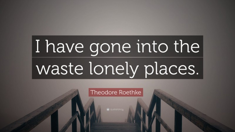 Theodore Roethke Quote: “I have gone into the waste lonely places.”