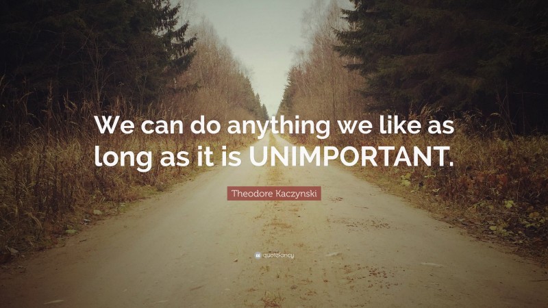 Theodore Kaczynski Quote: “We can do anything we like as long as it is UNIMPORTANT.”