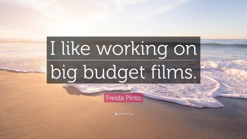 Freida Pinto Quote: “I like working on big budget films.”
