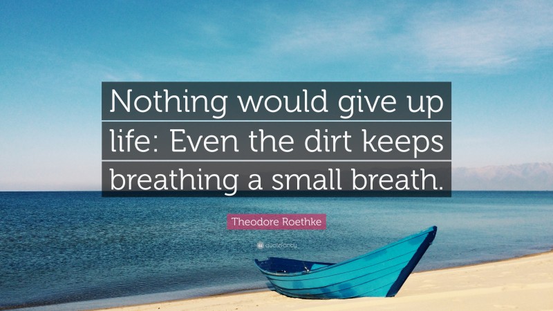 Theodore Roethke Quote: “Nothing would give up life: Even the dirt keeps breathing a small breath.”