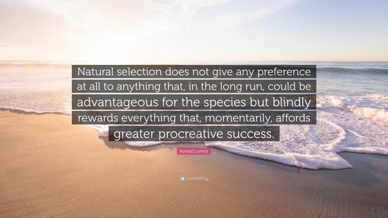 Konrad Lorenz Quote: “Natural selection does not give any preference at all to anything that, in the long run, could be advantageous for the species but blindly rewards everything that, momentarily, affords greater procreative success.”