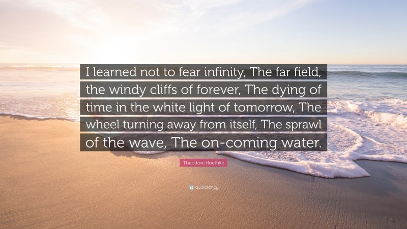 Theodore Roethke Quote: “I learned not to fear infinity, The far field, the windy cliffs of forever, The dying of time in the white light of tomorrow, The wheel turning away from itself, The sprawl of the wave, The on-coming water.”