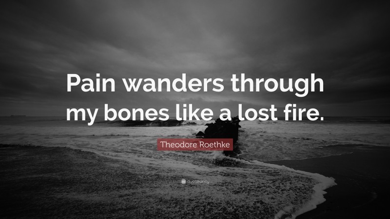 Theodore Roethke Quote: “Pain wanders through my bones like a lost fire.”