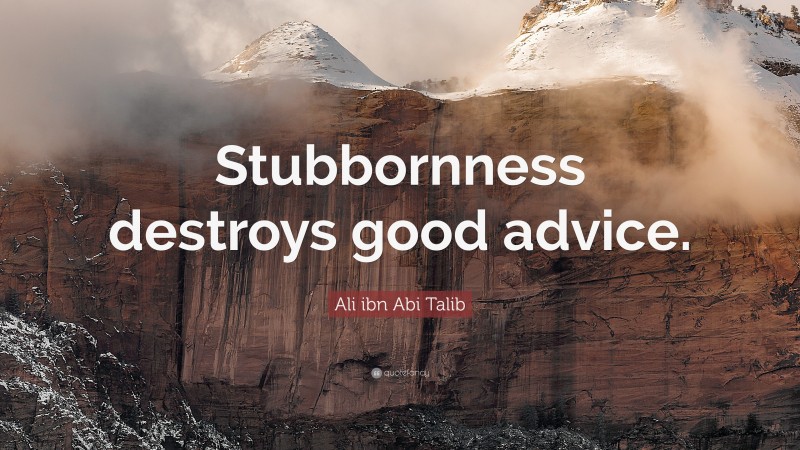 Ali ibn Abi Talib Quote: “Stubbornness destroys good advice.”