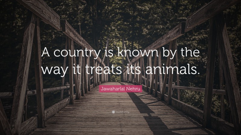 Jawaharlal Nehru Quote: “A country is known by the way it treats its animals.”
