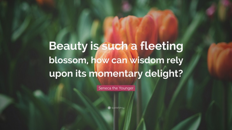Seneca the Younger Quote: “Beauty is such a fleeting blossom, how can wisdom rely upon its momentary delight?”