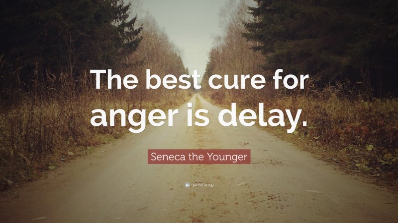 Seneca the Younger Quote: “The best cure for anger is delay.”