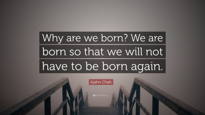 Ajahn Chah Quote: “Why are we born? We are born so that we will not have to be born again.”