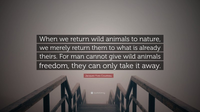 Jacques-Yves Cousteau Quote: “When we return wild animals to nature, we merely return them to what is already theirs. For man cannot give wild animals freedom, they can only take it away.”