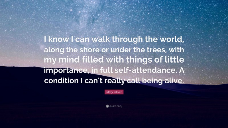 Mary Oliver Quote: “I know I can walk through the world, along the shore or under the trees, with my mind filled with things of little importance, in full self-attendance. A condition I can’t really call being alive.”