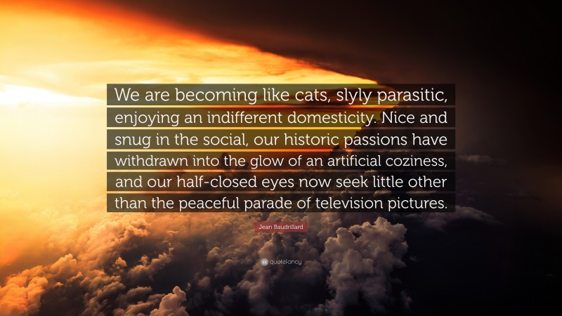 Jean Baudrillard Quote: “We are becoming like cats, slyly parasitic, enjoying an indifferent domesticity. Nice and snug in the social, our historic passions have withdrawn into the glow of an artificial coziness, and our half-closed eyes now seek little other than the peaceful parade of television pictures.”