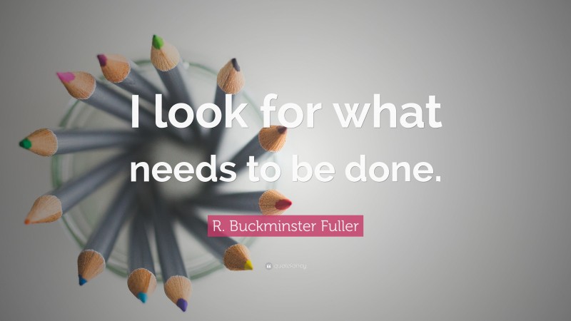 R. Buckminster Fuller Quote: “I look for what needs to be done.”