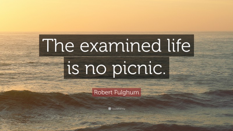 Robert Fulghum Quote: “The examined life is no picnic.”