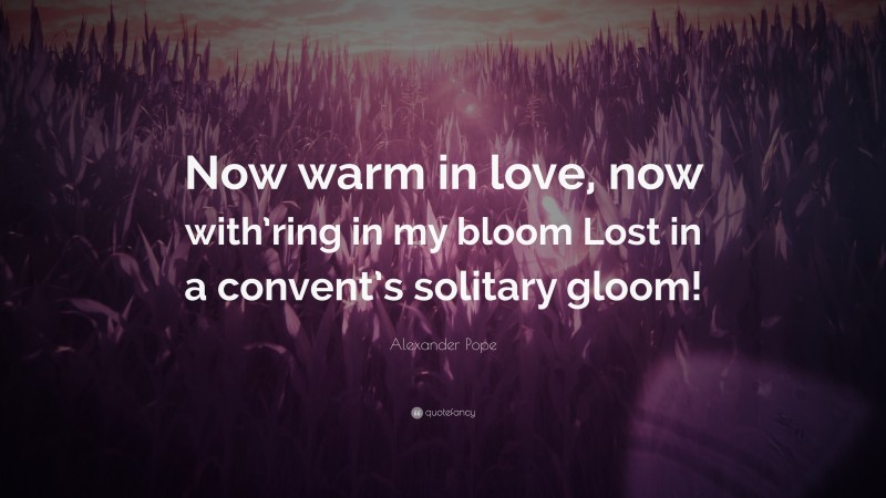Alexander Pope Quote: “Now warm in love, now with’ring in my bloom Lost in a convent’s solitary gloom!”