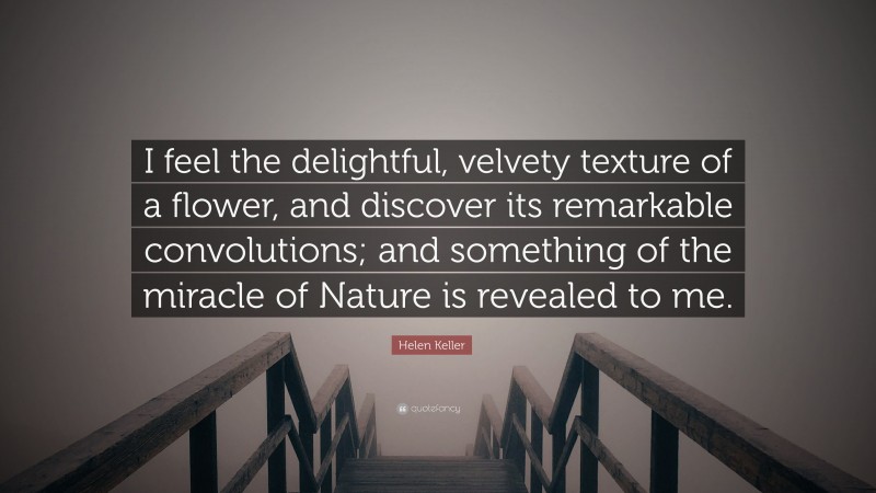 Helen Keller Quote: “I feel the delightful, velvety texture of a flower, and discover its remarkable convolutions; and something of the miracle of Nature is revealed to me.”