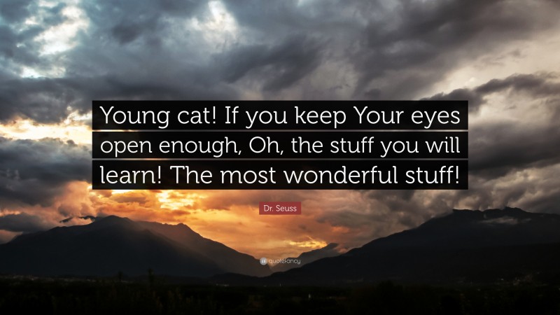Dr. Seuss Quote: “Young cat! If you keep Your eyes open enough, Oh, the stuff you will learn! The most wonderful stuff!”
