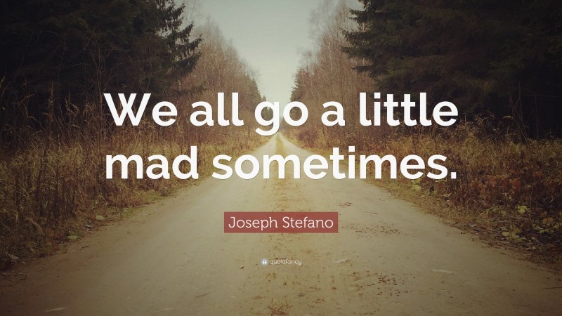 Joseph Stefano Quote: “We all go a little mad sometimes.”