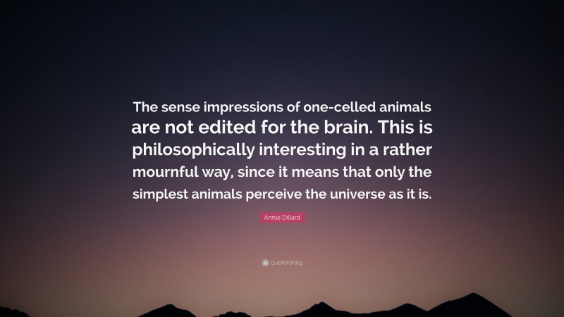 Annie Dillard Quote: “The sense impressions of one-celled animals are not edited for the brain. This is philosophically interesting in a rather mournful way, since it means that only the simplest animals perceive the universe as it is.”