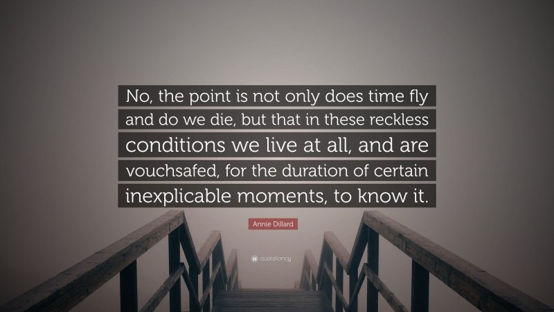 Annie Dillard Quote: “No, the point is not only does time fly and do we die, but that in these reckless conditions we live at all, and are vouchsafed, for the duration of certain inexplicable moments, to know it.”