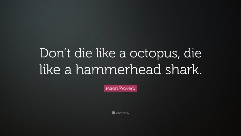 Maori Proverb Quote: “Don’t die like a octopus, die like a hammerhead shark.”