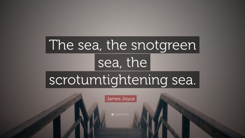 James Joyce Quote: “The sea, the snotgreen sea, the scrotumtightening sea.”