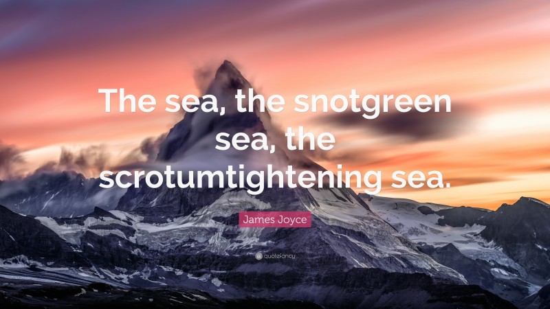 James Joyce Quote: “The sea, the snotgreen sea, the scrotumtightening sea.”