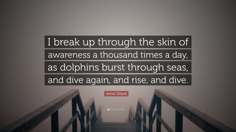 Annie Dillard Quote: “I break up through the skin of awareness a thousand times a day, as dolphins burst through seas, and dive again, and rise, and dive.”