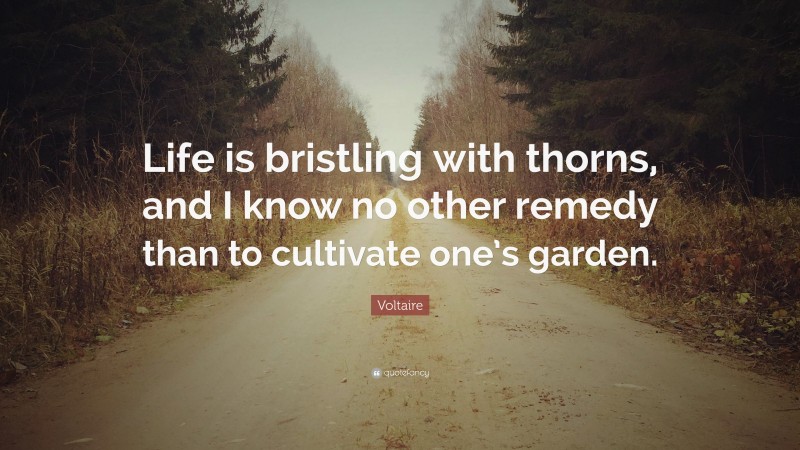Voltaire Quote: “Life is bristling with thorns, and I know no other remedy than to cultivate one’s garden.”
