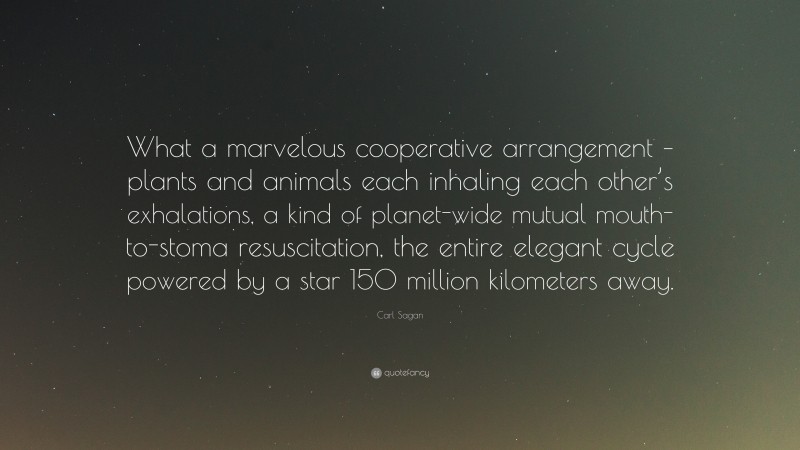 Carl Sagan Quote: “What a marvelous cooperative arrangement – plants and animals each inhaling each other’s exhalations, a kind of planet-wide mutual mouth-to-stoma resuscitation, the entire elegant cycle powered by a star 150 million kilometers away.”