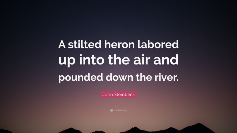 John Steinbeck Quote: “A stilted heron labored up into the air and pounded down the river.”