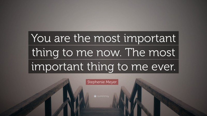 Stephenie Meyer Quote: “You are the most important thing to me now. The most important thing to me ever.”