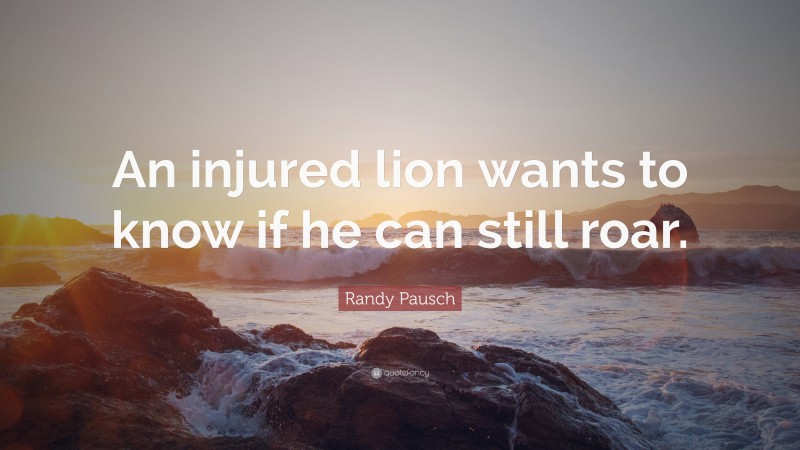 Randy Pausch Quote: “An injured lion wants to know if he can still roar.”